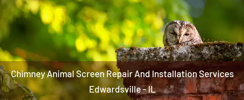  Chimney Animal Screen Repair And Installation Services Edwardsville - IL