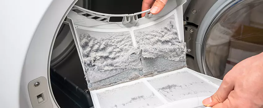 Best Dryer Lint Removal Company in Edwardsville, Illinois