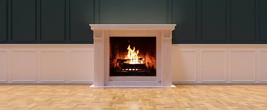 Napoleon Electric Fireplaces Inspection Service in Edwardsville, Illinois