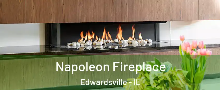  Napoleon Fireplace Edwardsville - IL